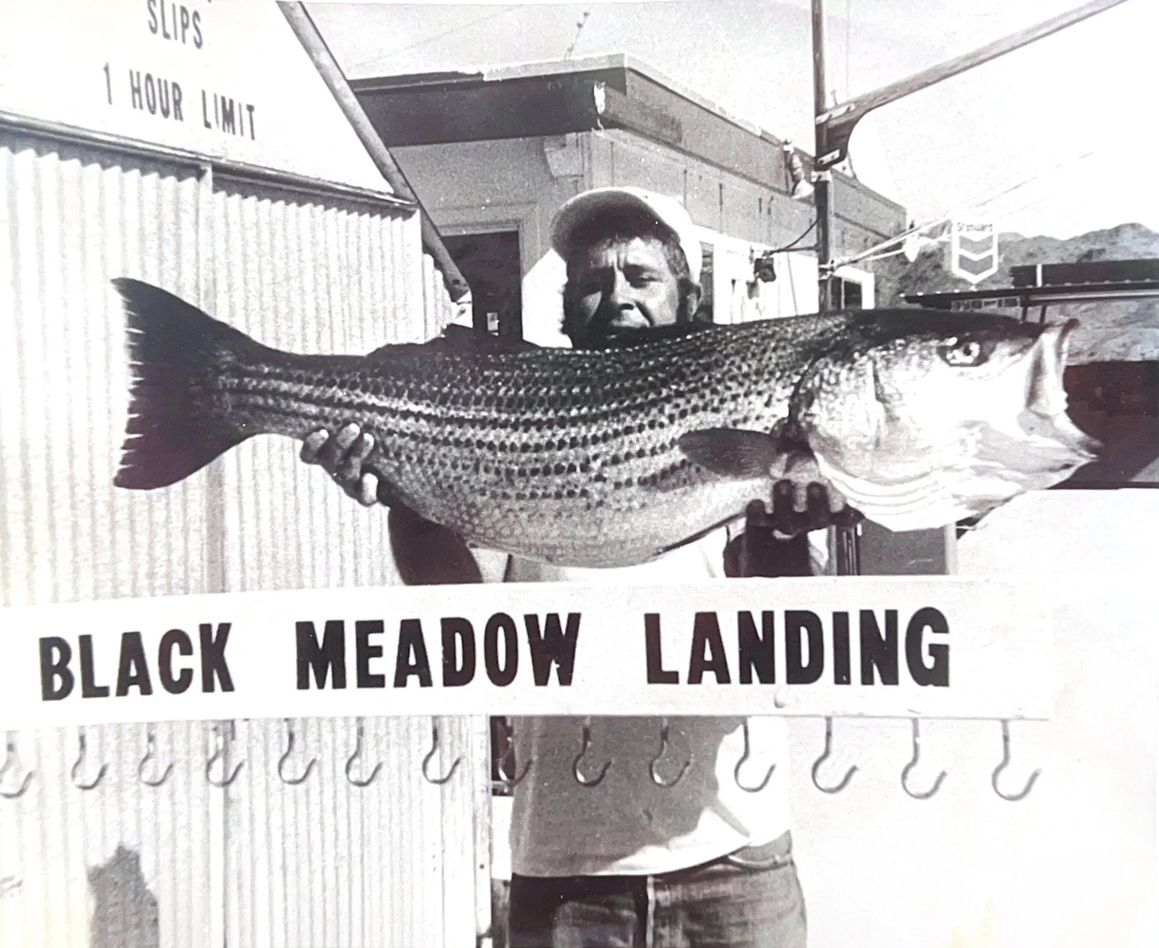 Fishing at Black Meadow Landing: A Lake Havasu Tradition